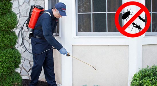 Yavuzeli Haşere İlaçlama böcek ilaçlama ve haşere kontrolü — ilaclama-tr.com